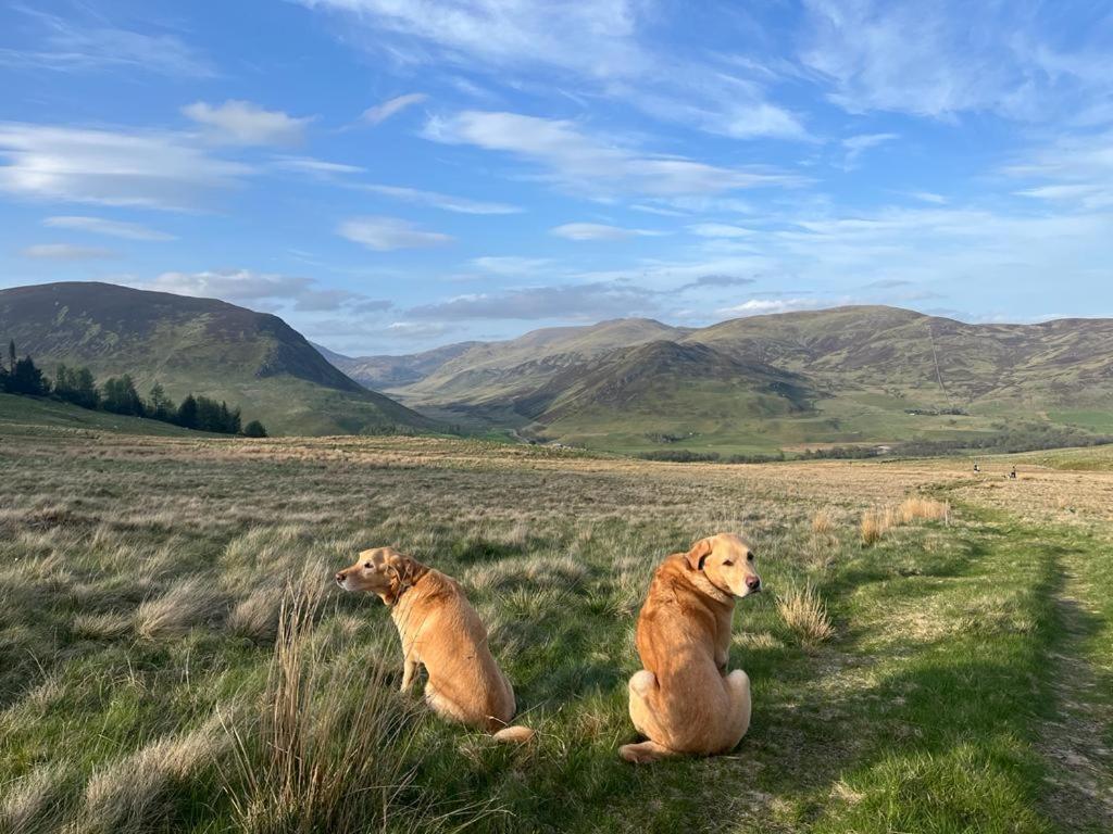 Gulabin Lodge Glenshee Екстериор снимка